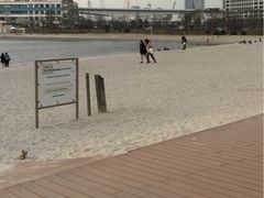 -台场海滨公园船码头