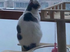 -谢列梅捷沃国际机场