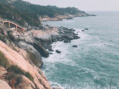-广东惠东海龟国家级自然保护区