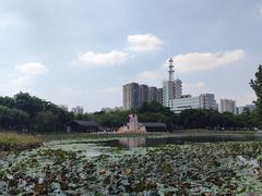 -映月湖公园