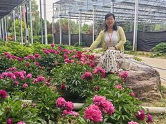 -洛阳市隋唐城遗址植物园