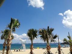 -大梅沙海滨公园