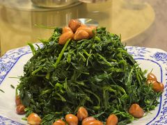 -靖远尕六美味羊羔肉