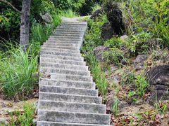 -阳台山森林公园