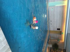 无锡新湖铂尔曼大酒店-无锡新湖铂尔曼大酒店