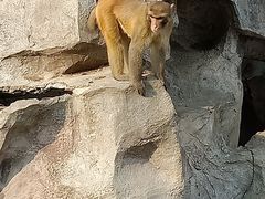 -无锡动物园·太湖欢乐园