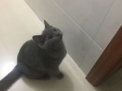 -爱诺耐芙动物医院(万博店)