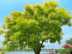 -绿堤公园