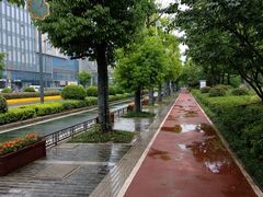 -聚龙湖公园