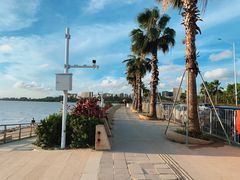 -宝安西湾红树林湿地公园