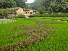 -韶山毛泽东同志故居