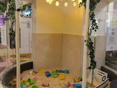 -Lilliput粒粒堡亲子餐厅(祥云小镇店)