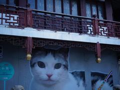 -方浜中路45弄小区