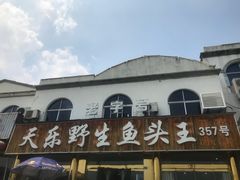 -天乐农家鱼头王(天目湖店)