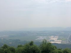 -铁山坪森林公园