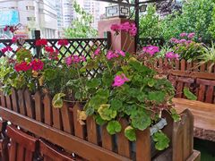 -九號院子海鲜烧烤