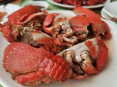 -视界美食自助餐厅·石家庄希尔顿酒店