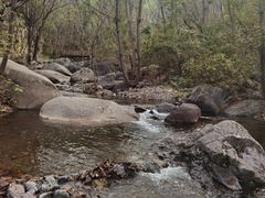 -云岫谷游猎自然风景区