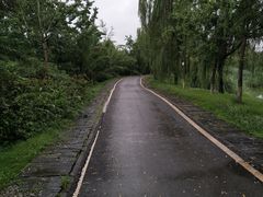 -白鹭湾湿地公园