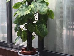 -自在弥林花园餐厅(云栖店)