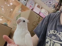-e嘉宠物店(北大街店)