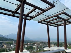 -龙坞茶村