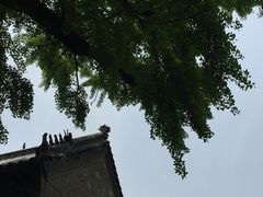 -浮来山风景区
