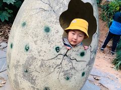-杭州少年儿童公园