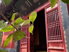 -洛阳白马寺