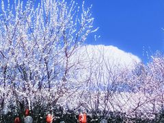 -春风习习