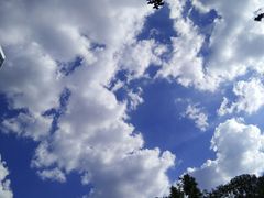 -重庆市江北嘴中央商务区中央公园