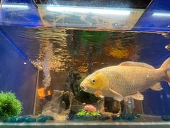 -蚝翅·海鲜粥·烧烤·龙虾季(海曙天一店)