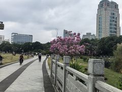 -南宁南湖公园