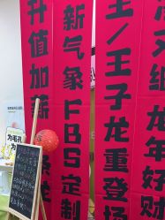 -凡碧诗毛孔清洁收细