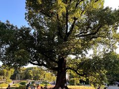 -东京国立博物馆