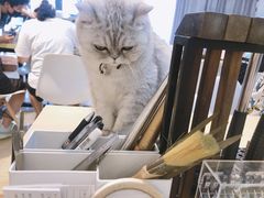 -Oasis绿洲银饰珍珠手作diy(壹方城店)