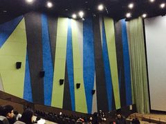 -天幕新彩云国际影城(激光巨幕店)