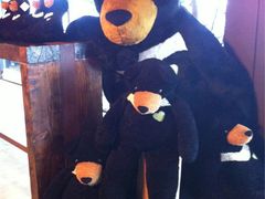 iphone_upload_pic-济州岛泰迪熊博物馆