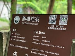 -都江堰中华大熊猫苑