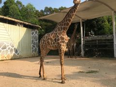 -泉州海丝野生动物世界