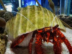 -太平洋海底世界