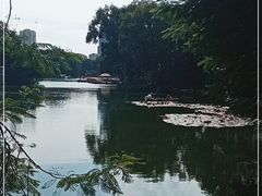 -荔湾湖公园