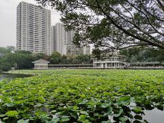 -荔湾湖公园