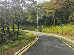 -黄埔油麻山森林公园