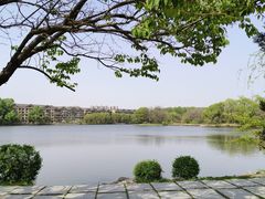 -二一九公园