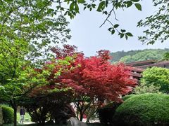 -中国茶叶博物馆(双峰馆区)