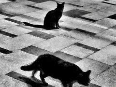 -徐记私厨(半淞园路店)