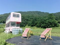 -金石滩蓝莓谷庄园