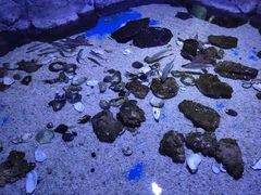 -多彩贵州城极地海洋世界