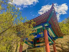 -百里山水画廊-恐龙游乐园